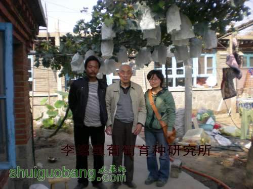 DSCN6665_conew1.jpg