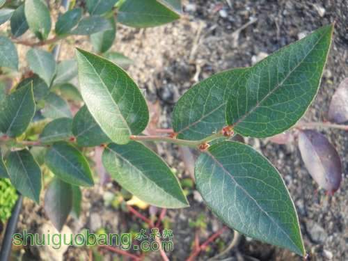 ��ѿ����-20121019 (4).jpg