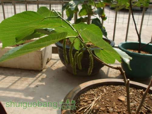 Ƭ 004.jpg