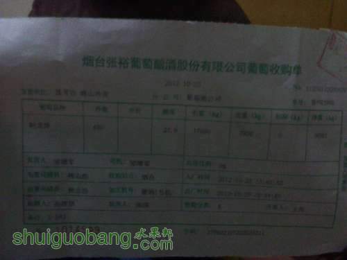 IMG00057.jpg