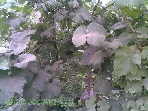 20120623(026).jpg