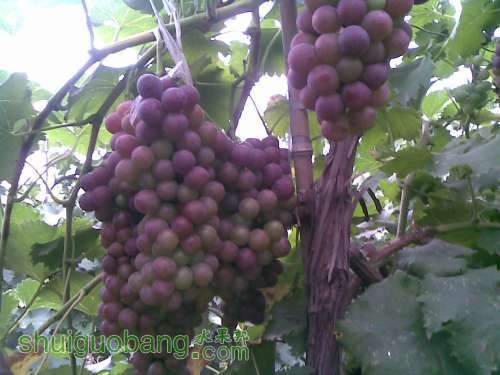 20120714(004).jpg