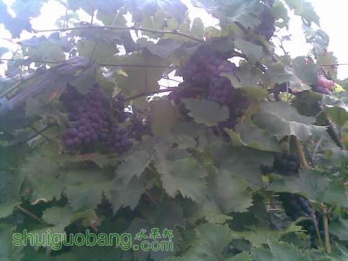 20120711.jpg