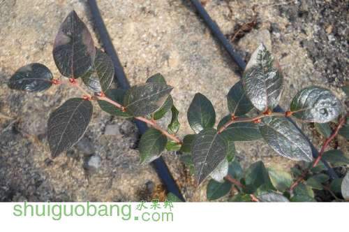 20121026--��ѿ��    (49).jpg