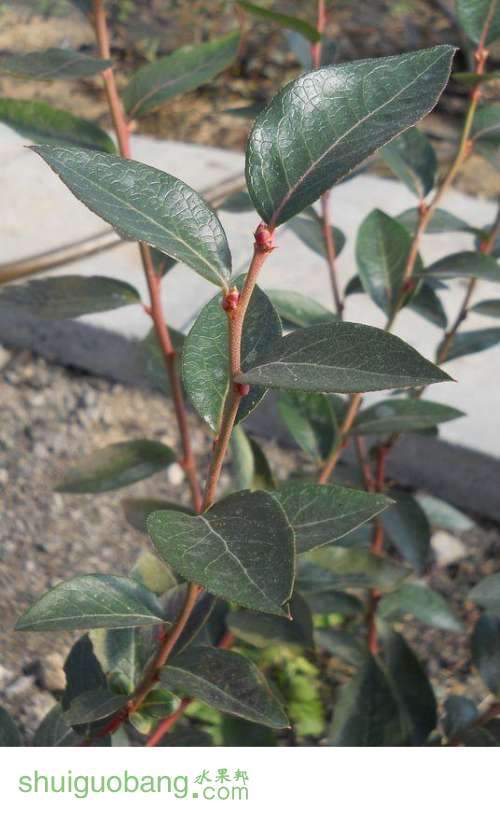 20121026--��ѿ��   (51).jpg