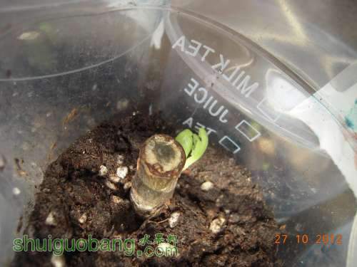 DSCN1230.JPG