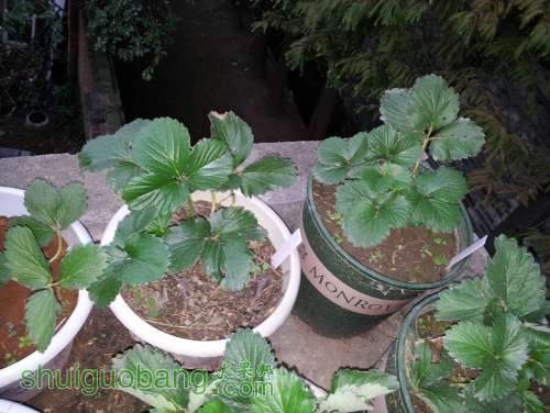 20121027_173350.jpg