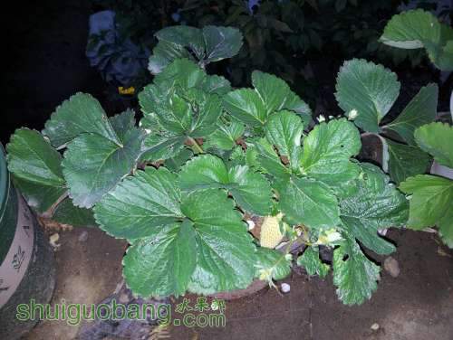 20121027_174141.jpg