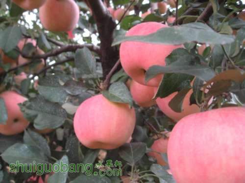 20120921ʼժƻ 009.jpg