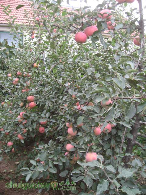 20121029Сժ¼ 013.jpg