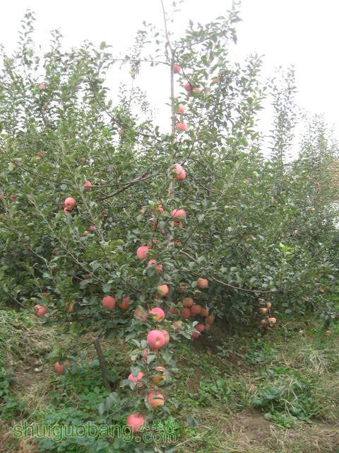 20121029Сժ¼ 018.jpg