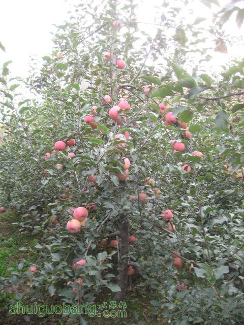 20121029Сժ¼ 022.jpg