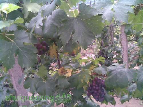 20120714.jpg