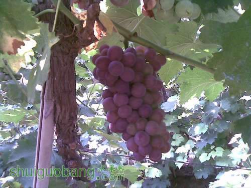 20120715.jpg