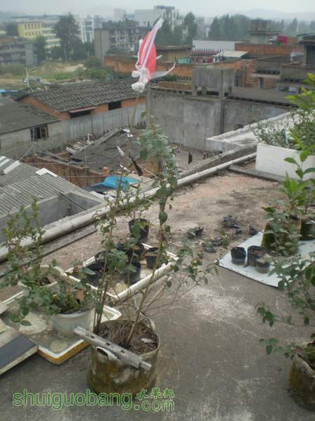 PA260039.jpg