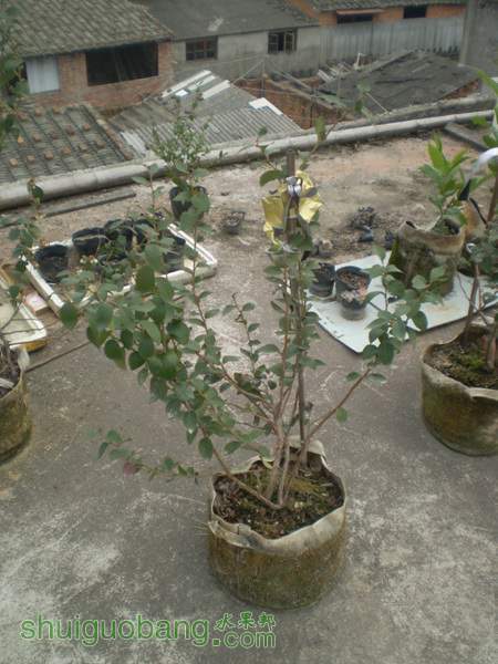 PA260040.jpg