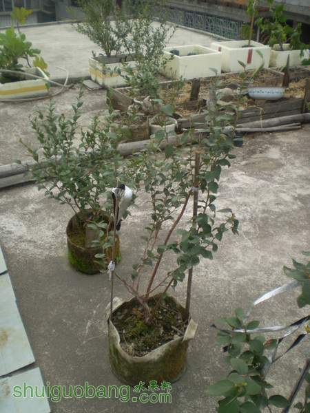 PA260041.jpg