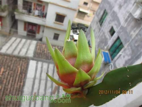 ڰ11.04B.jpg