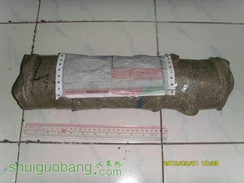 С SI858195.JPG