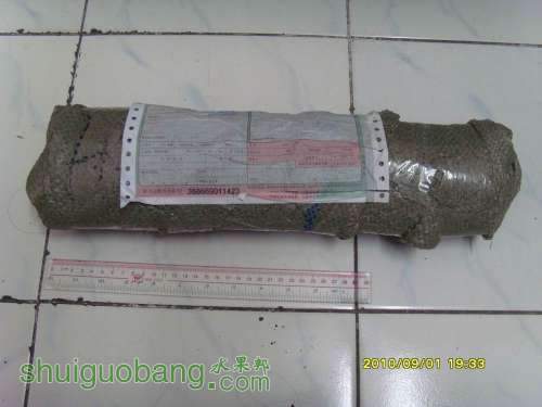 С SI858196.JPG