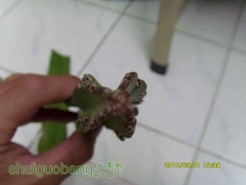 С SI858200.JPG