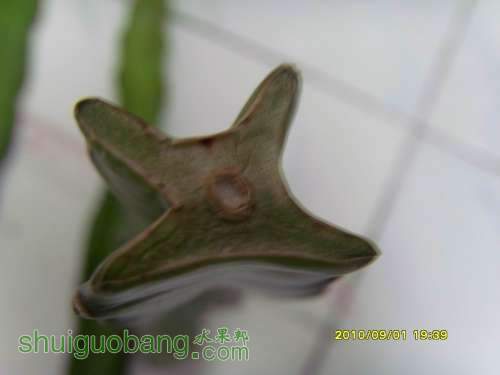 С SI858205.JPG