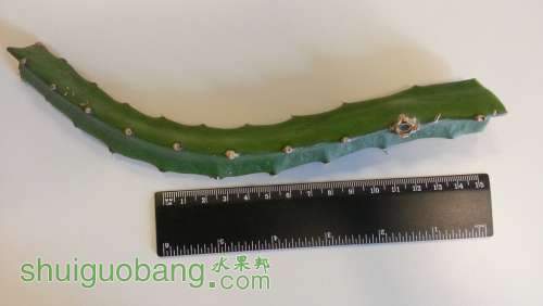 20121105_155321.jpg