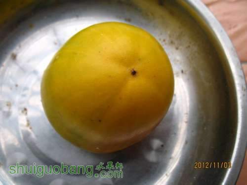 2012-11-3 042.jpg