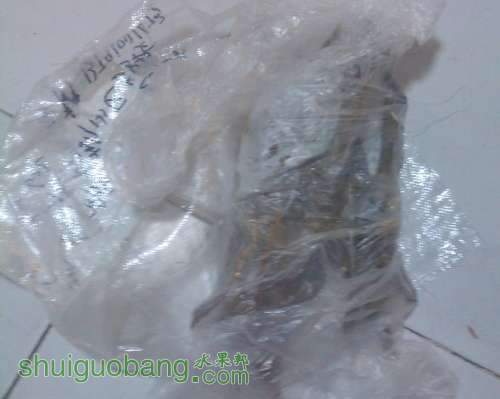 QQͼ20121106094203.jpg