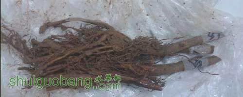 QQͼ20121106094219.jpg
