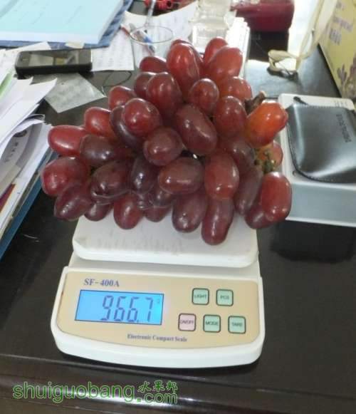 2012110204.jpg