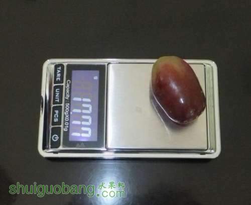 2012110207.jpg