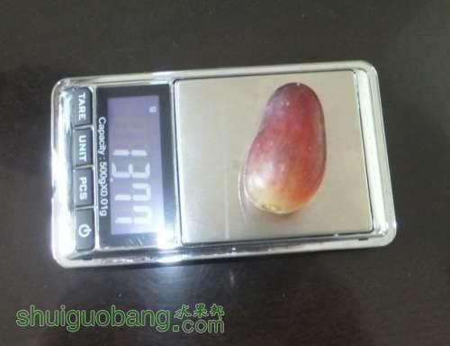 2012110206.jpg