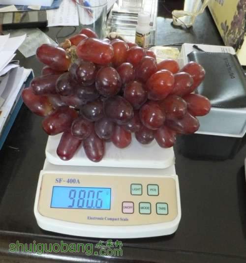 2012110205.jpg