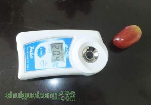 2012110209.jpg