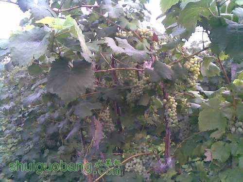20120716(015).jpg