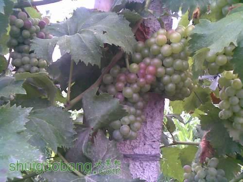 20120716(037).jpg
