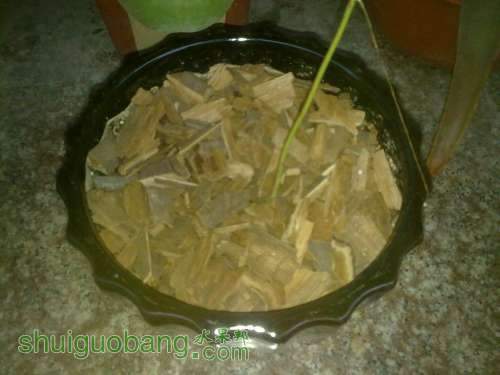 �������Ӹɾ��ˣ�ͼ����ʪ��Ҳ������Ϊ��ˮ����ᣬ�ü���