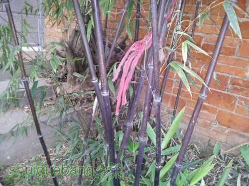 20121106_165753.jpg
