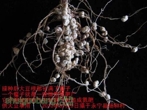 2010915192842224.jpg