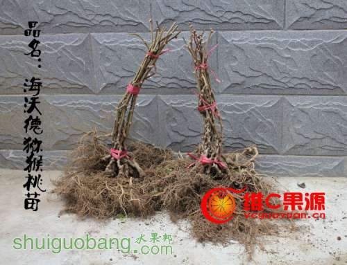 e9dae2cc06677a27b0ea3bc399b3b763.jpg