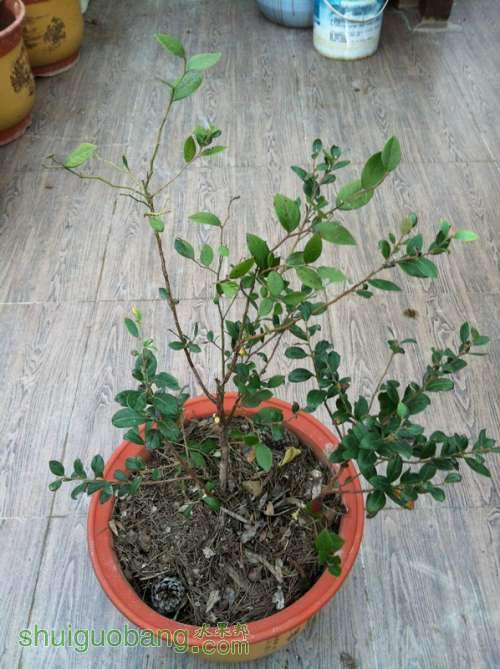 ��Ƭ 071_������С.jpg