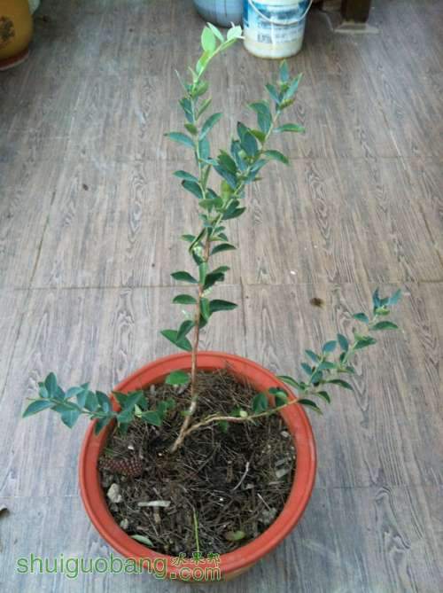 ��Ƭ 073_������С.jpg