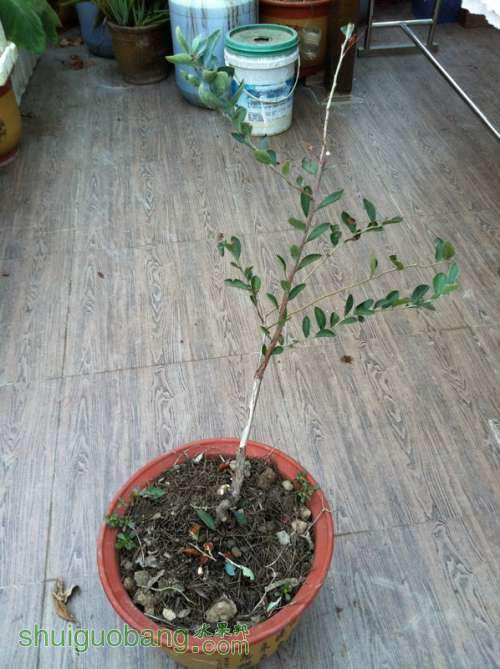 ��Ƭ 075_������С.jpg