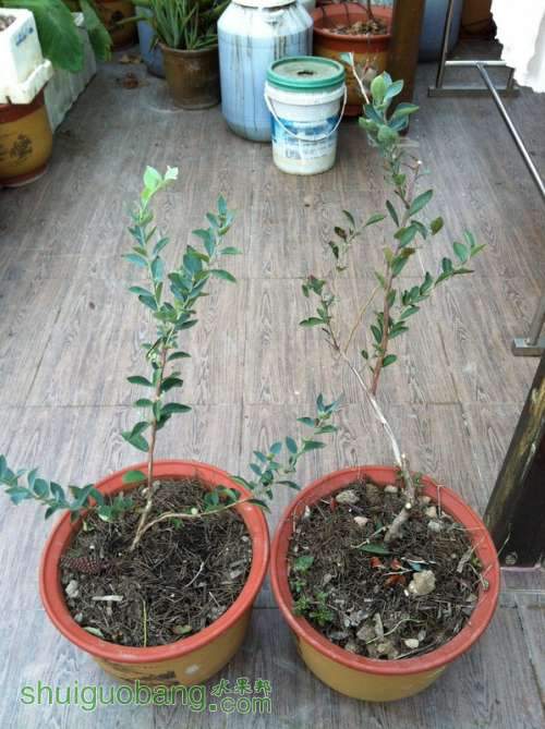 ��Ƭ 074_������С.jpg