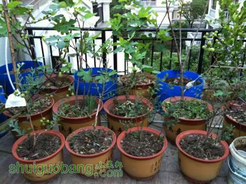 ��Ƭ 076_������С.jpg