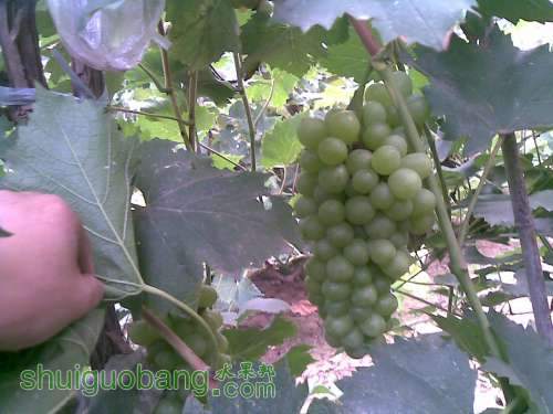 20120716(046).jpg