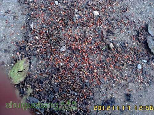IMG00689.jpg