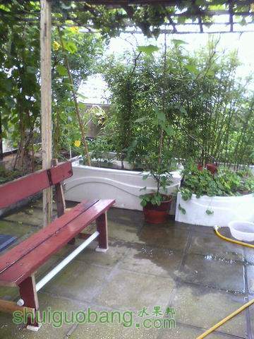 С IMG0708135301.jpg