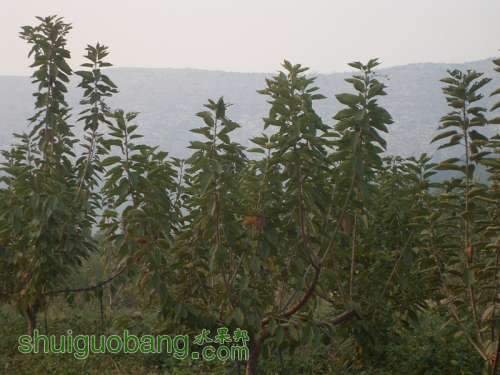 SDC10050_.jpg